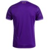 Maillot de Supporter RSC Anderlecht Domicile 2024-25 Pour Homme